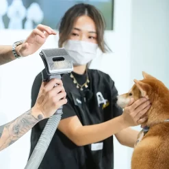 Bộ làm sạch cho thú cưng Dyson pet grooming Kit - Chính hãng 16 vn 11134207 7ras8 md4h8e7lu4ik8e Photoroom