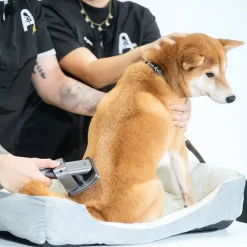 Bộ làm sạch cho thú cưng Dyson pet grooming Kit - Chính hãng 17 vn 11134207 7ras8 md4h8fv9g8d8b4 Photoroom