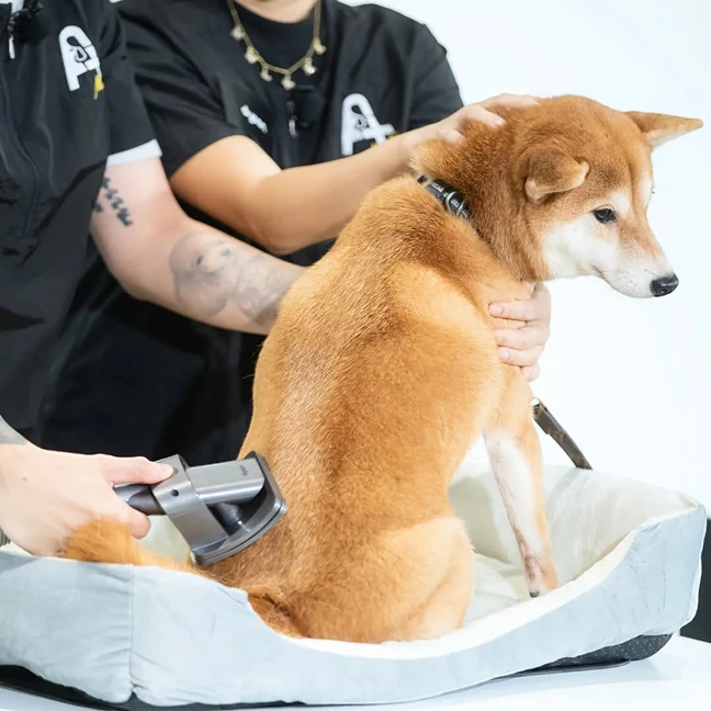 Bộ làm sạch cho thú cưng Dyson pet grooming Kit - Chính hãng 10 Bộ làm sạch cho thú cưng Dyson pet grooming Kit - Chính hãng - Ảnh 8