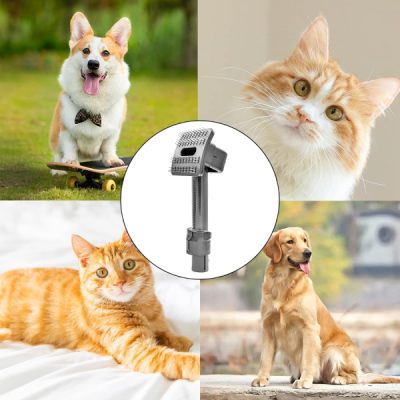 Bộ phụ kiện chải lông chó mèo cho máy hút bụi dyson V7 V8 V10 V11 V12 V15 Gen5 Outsize 21 image 1707