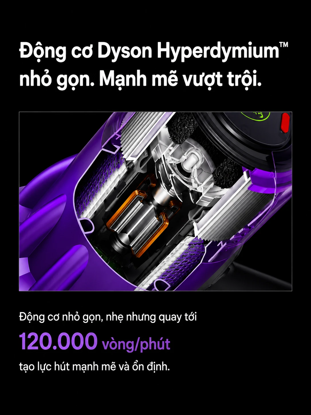 image Photoroom 3 1