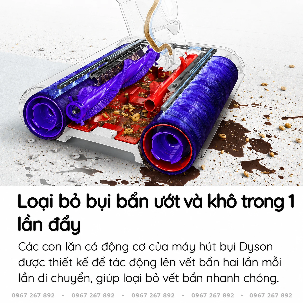 image Photoroom 8