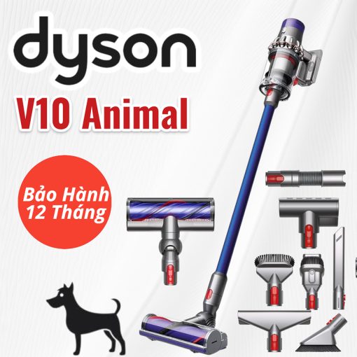 Máy Hút Bụi Không Dây Dyson V10 Animal