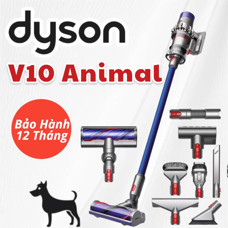 Máy Hút Bụi Không Dây Dyson V10 Animal