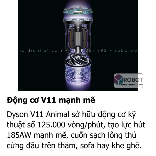 V11 Animal 3