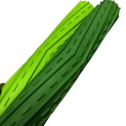 z7403424183151 00e4831e226fc34db52e5e8332e6c344 Photoroom