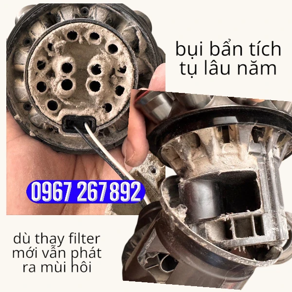 transparent Photoroom 2 1