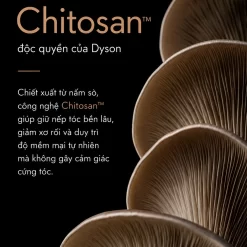 image Photoroom