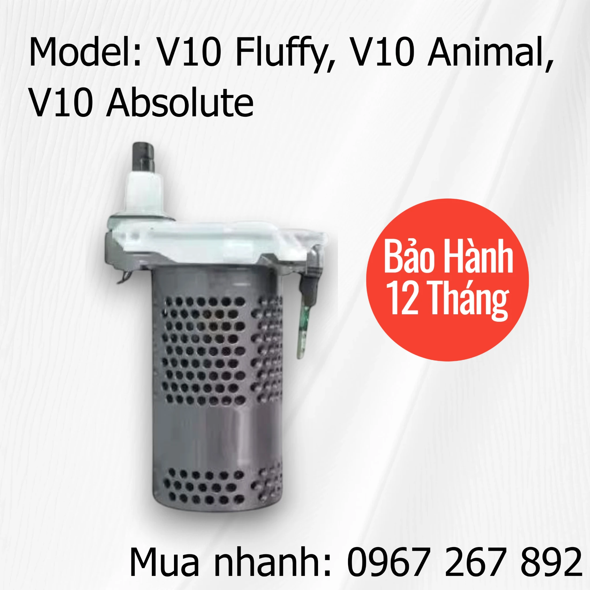 image Photoroom 3 1