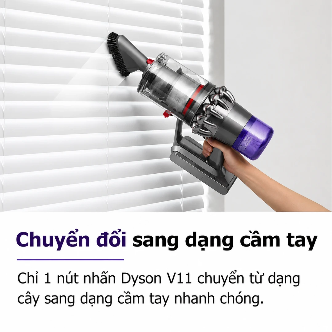 image Photoroom 12 1