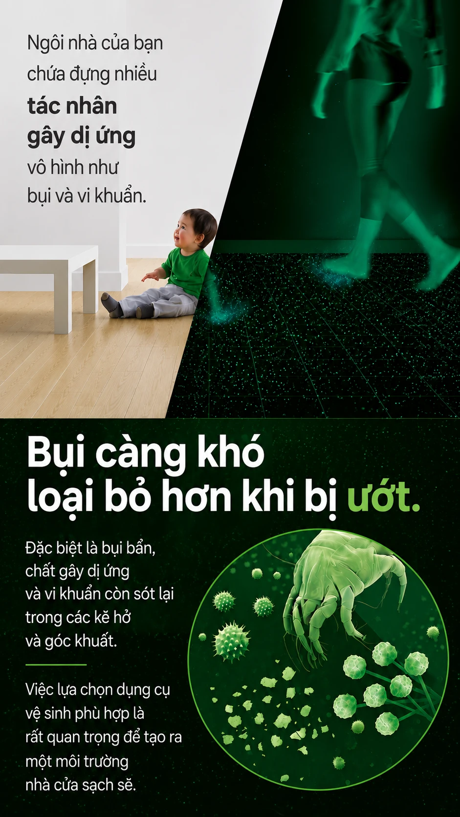 image Photoroom 14